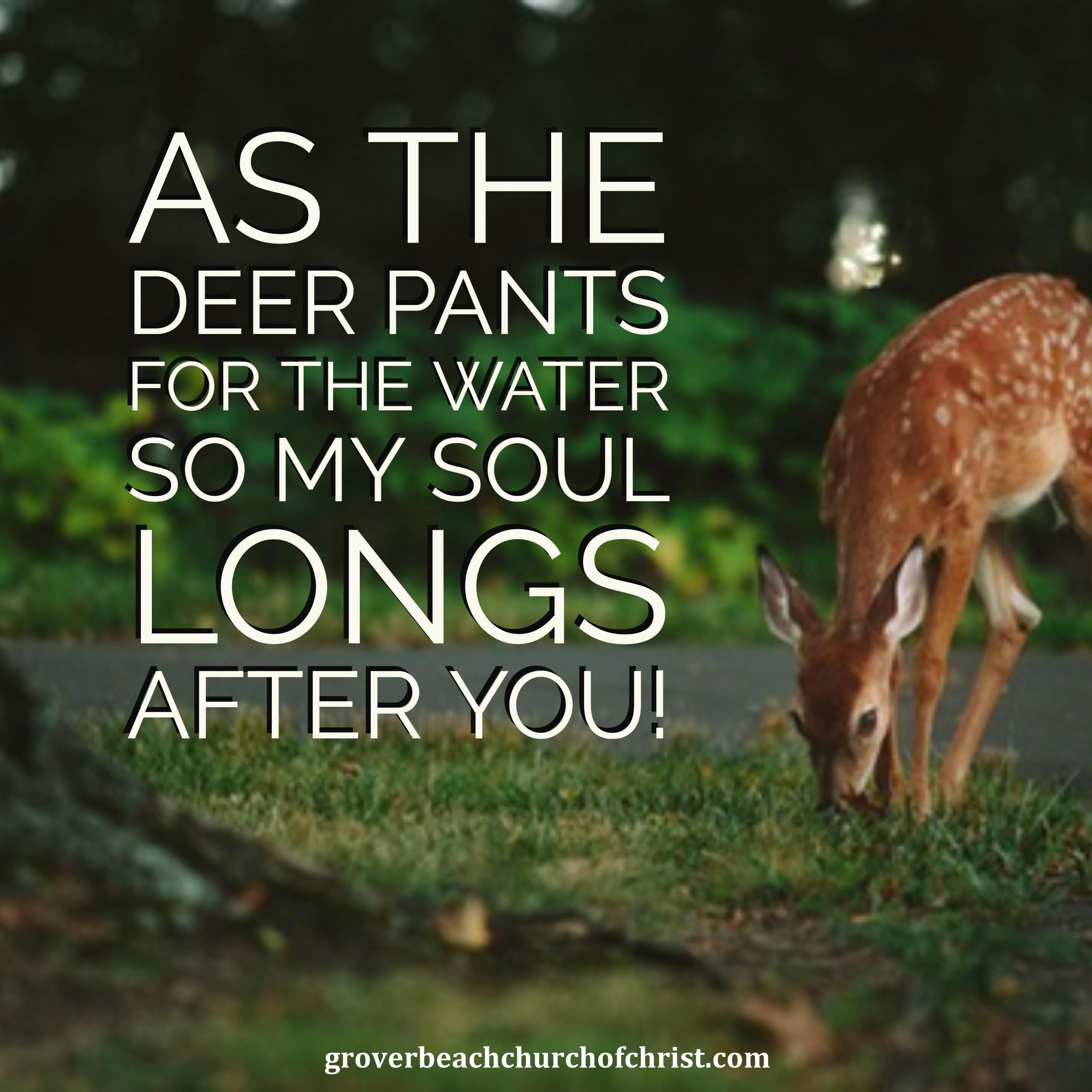 Psalm 421  The Meaning Behind As The Deer Pants  Think About Such Things